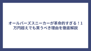 オールバーズスニーカーが革命的すぎる！1万円超えでも買うべき理由を徹底解説