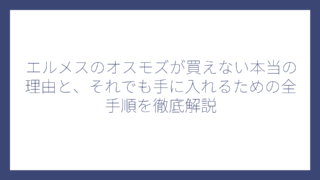 エルメスのオスモズが買えない本当の理由と、それでも手に入れるための全手順を徹底解説